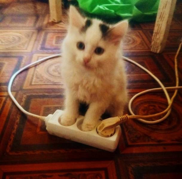 Daily Picdump