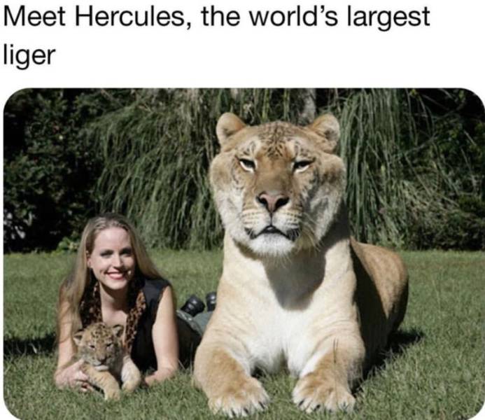 daily picdump 97 pics 30.html - 97 HD Photos | Premium Gallery 2019