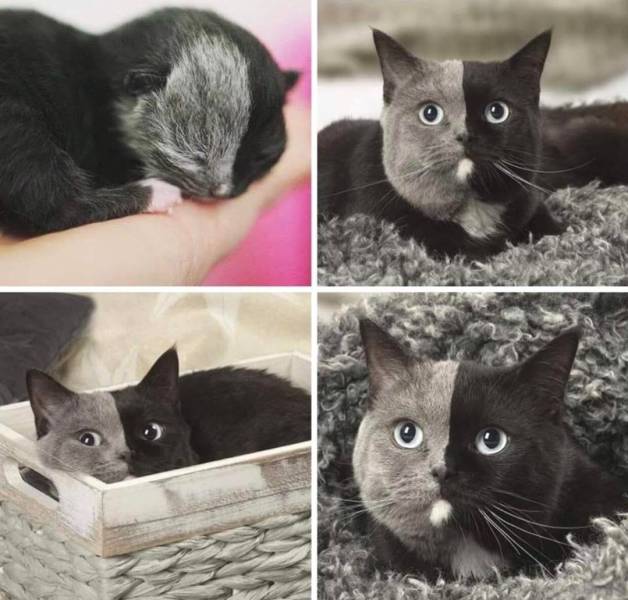 daily picdump 97 pics 30.html - 97 HD Photos | Premium Gallery 2019