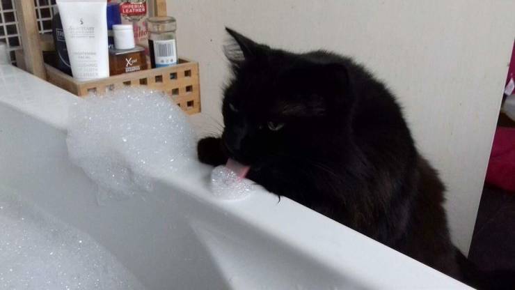 daily picdump 97 pics 30.html - 97 HD Photos | Premium Gallery 2019