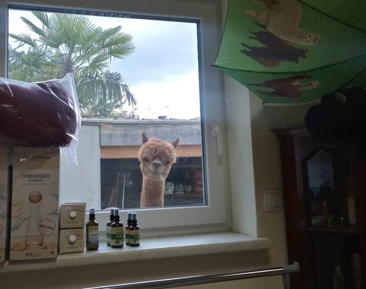 daily picdump 97 pics 30.html - 97 HD Photos | Premium Gallery 2019