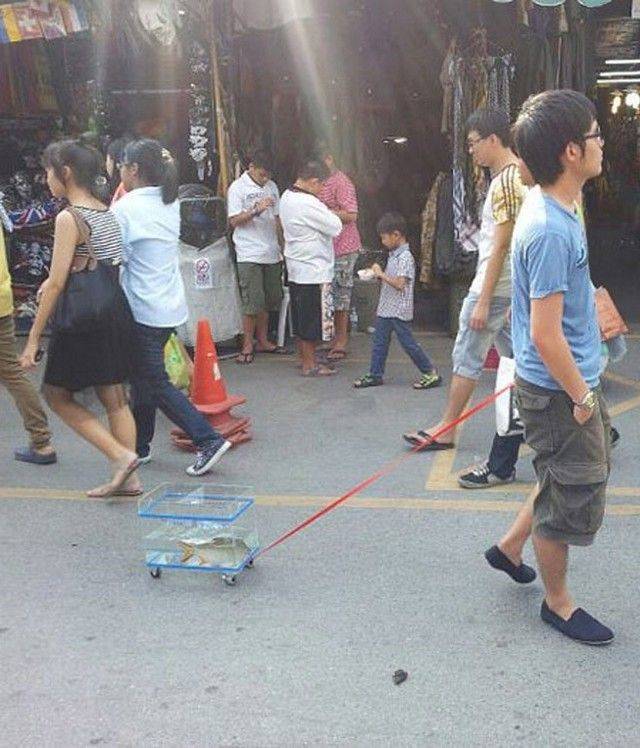 daily picdump 97 pics 30.html - 97 HD Photos | Premium Gallery 2019