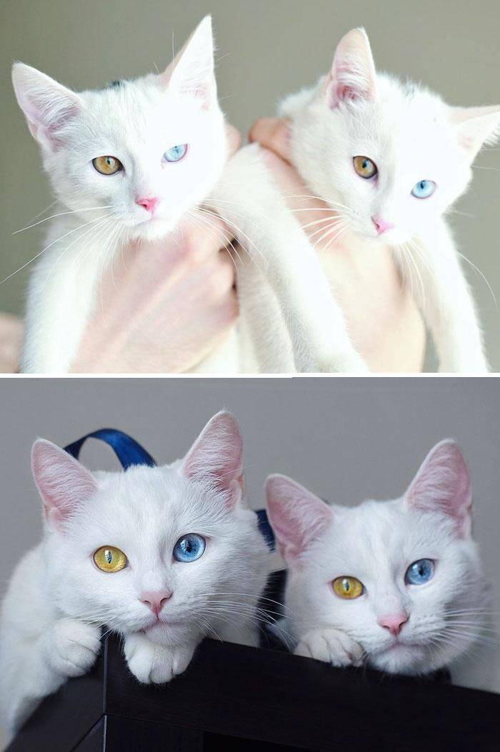 daily picdump 97 pics 30.html - 97 HD Photos | Premium Gallery 2019