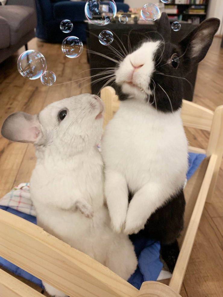 daily picdump 97 pics 30.html - 97 HD Photos | Premium Gallery 2019
