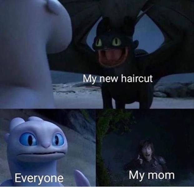 funny picdump 54 pics 7.html - 54 HD Photos | Premium Gallery 2019