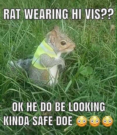 funny picdump 54 pics 7.html - 54 HD Photos | Premium Gallery 2019