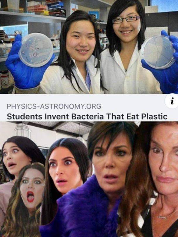 funny picdump 54 pics 7.html - 54 HD Photos | Premium Gallery 2019