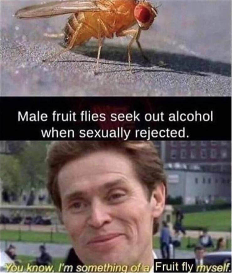 funny picdump 54 pics 7.html - 54 HD Photos | Premium Gallery 2019