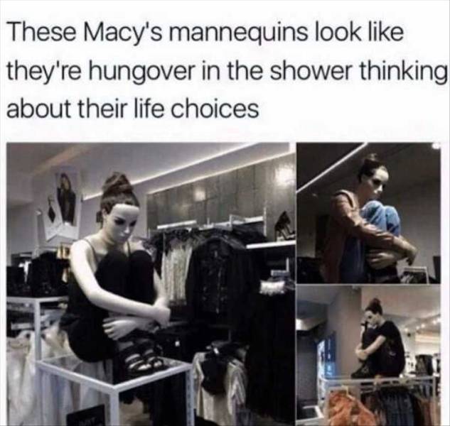 funny picdump 53 pics 4.html - 53 HD Photos | Premium Gallery 2019