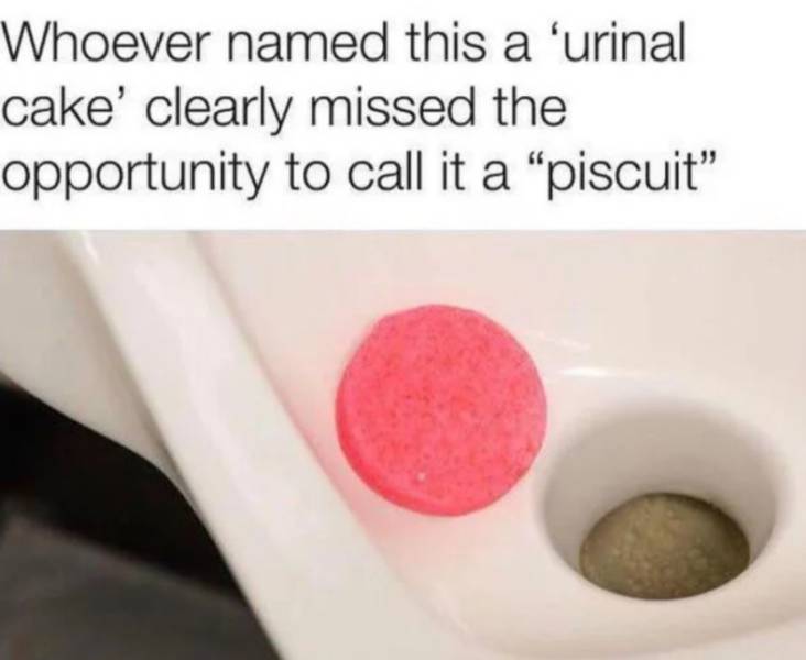funny picdump 53 pics 4.html - 53 HD Photos | Premium Gallery 2019