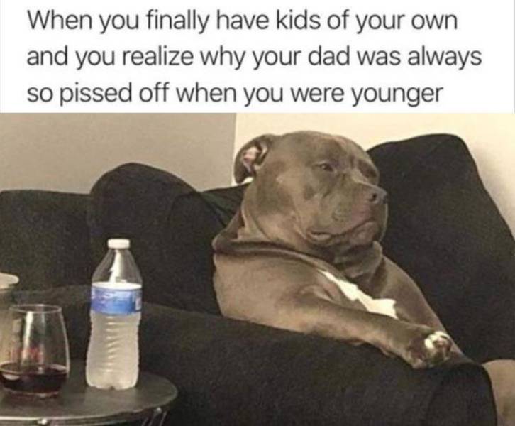 funny picdump 53 pics 4.html - 53 HD Photos | Premium Gallery 2019
