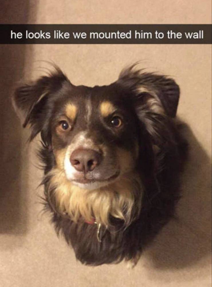 funny picdump 53 pics 4.html - 53 HD Photos | Premium Gallery 2019