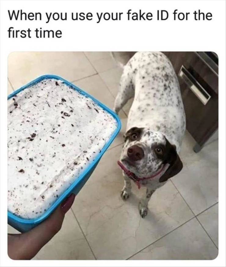 funny picdump 53 pics 4.html - 53 HD Photos | Premium Gallery 2019