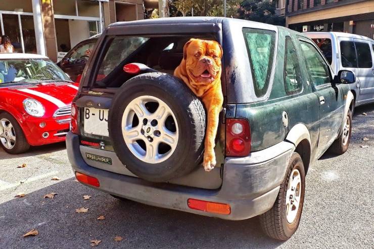 daily picdump 99 pics 12.html - 99 HD Photos | Premium Gallery 2019