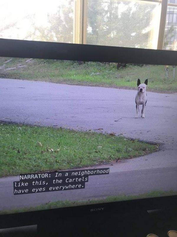 Daily Picdump