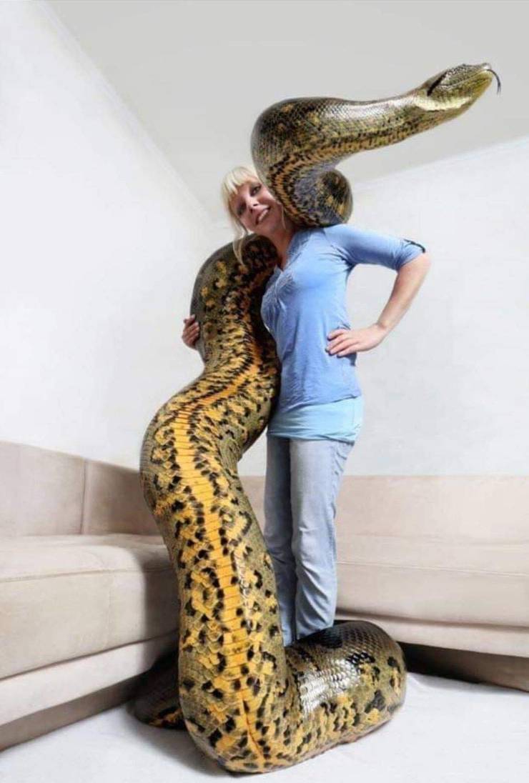 Daily Picdump