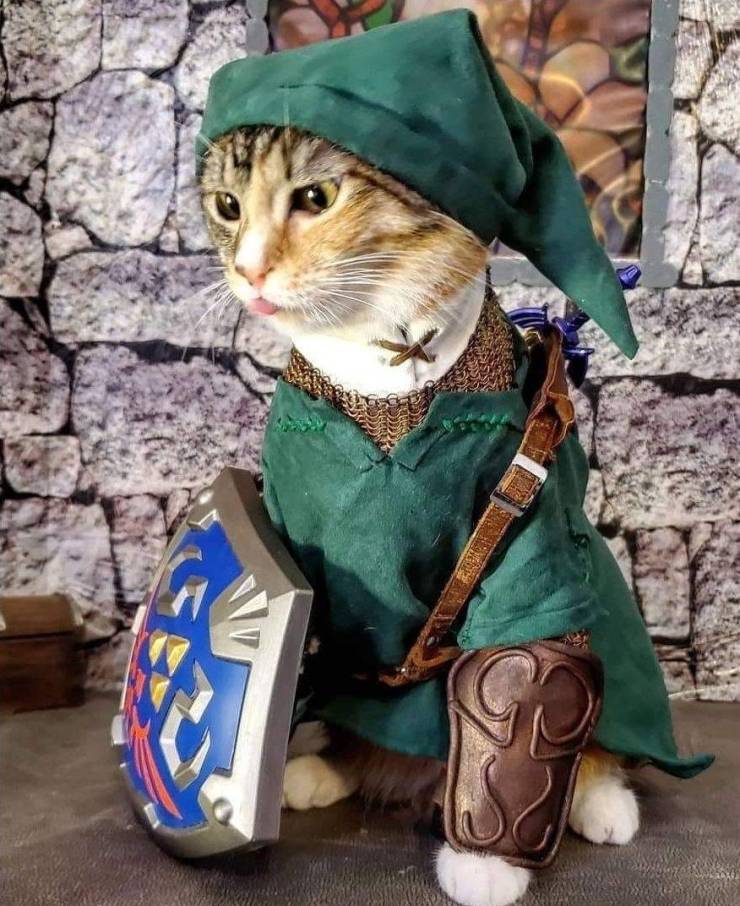 daily picdump 99 pics 12.html - 99 HD Photos | Premium Gallery 2019