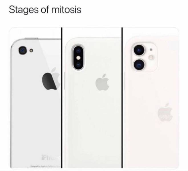 funny picdump 52 pics 3.html - 52 HD Photos | Premium Gallery 2019
