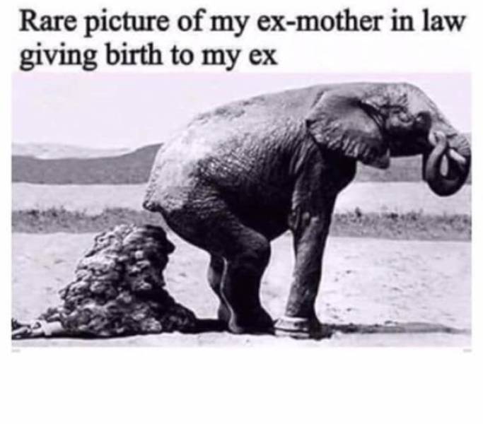 funny picdump 52 pics 3.html - 52 HD Photos | Premium Gallery 2019