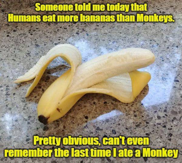 funny picdump 52 pics 3.html - 52 HD Photos | Premium Gallery 2019