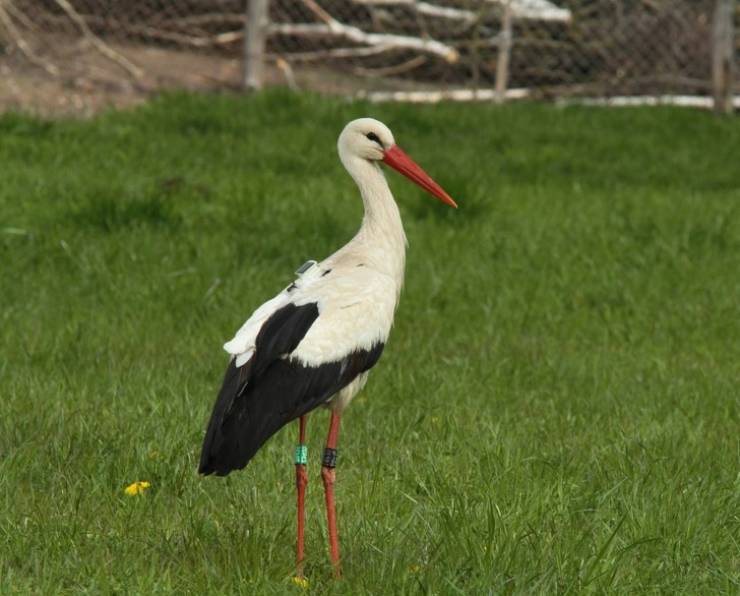 page,4,top 100 interesting pics of the year 2019.html - 1 HD Photos | Premium Gallery 2019