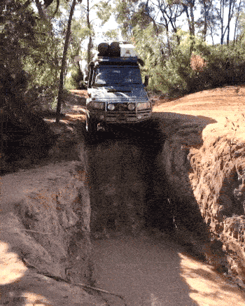 Put That Phone Down And Help Me!