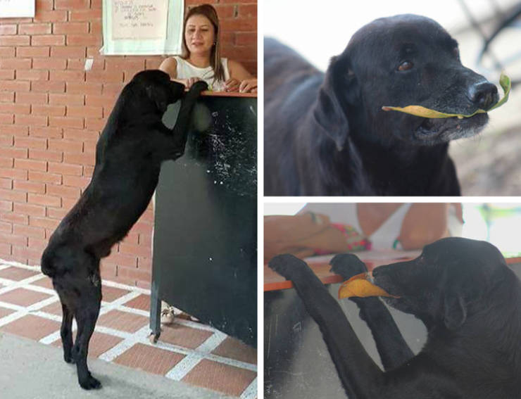 page,4,top 100 animals pics of the year 2019.html - 1 HD Photos | Premium Gallery 2019