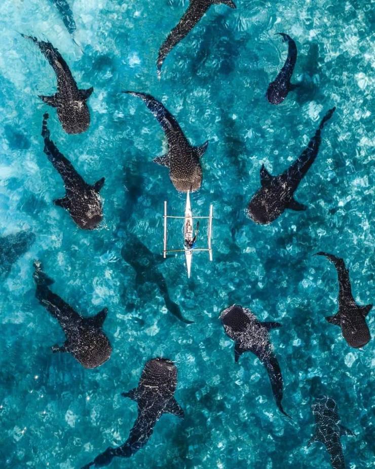 daily picdump 102 pics 36.html - 102 HD Photos | Premium Gallery 2019