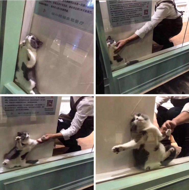 daily picdump 102 pics 36.html - 102 HD Photos | Premium Gallery 2019