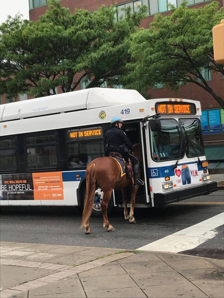 daily picdump 102 pics 36.html - 102 HD Photos | Premium Gallery 2019
