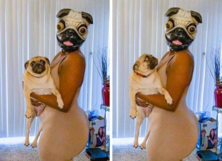 daily picdump 94 pics 6.html - 94 HD Photos | Premium Gallery 2019