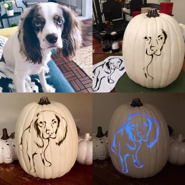daily picdump 94 pics 6.html - 94 HD Photos | Premium Gallery 2019