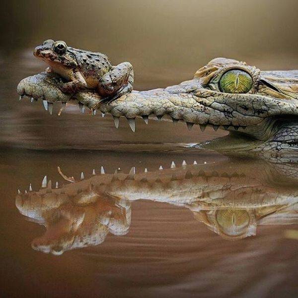 daily picdump 94 pics 6.html - 94 HD Photos | Premium Gallery 2019