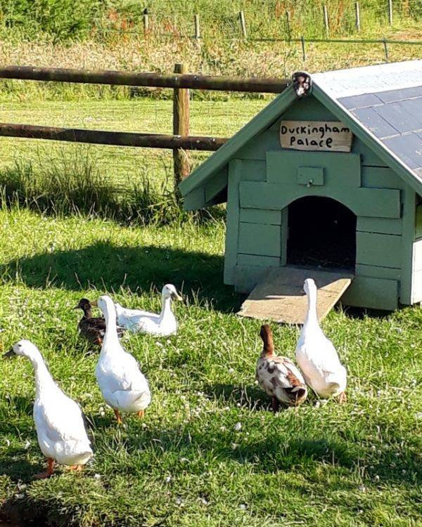 daily picdump 94 pics 6.html - 94 HD Photos | Premium Gallery 2019