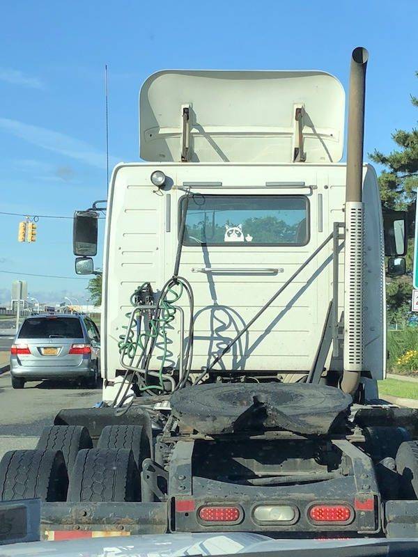daily picdump 94 pics 6.html - 94 HD Photos | Premium Gallery 2019