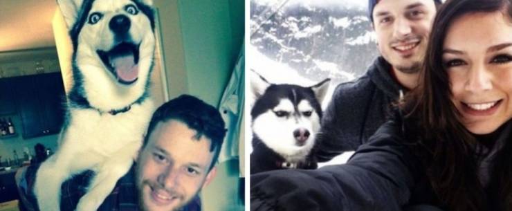 page,6,top 750 daily pics of the year 2019.html - 1 HD Photos | Premium Gallery 2019