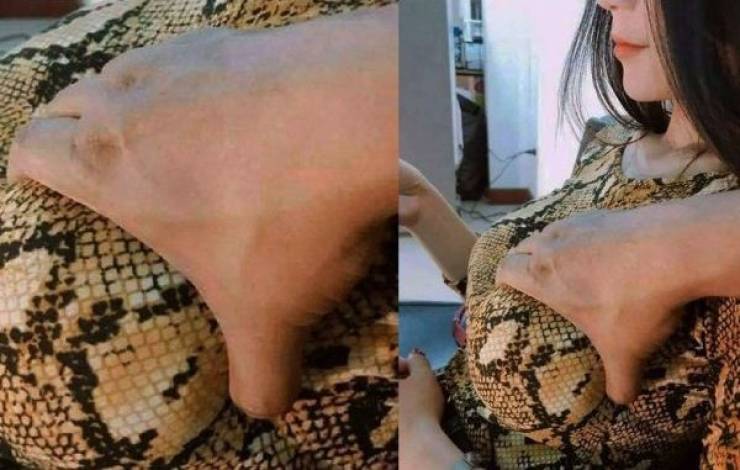 grownup corner 67 pics 25.html - 67 HD Photos | Premium Gallery 2019