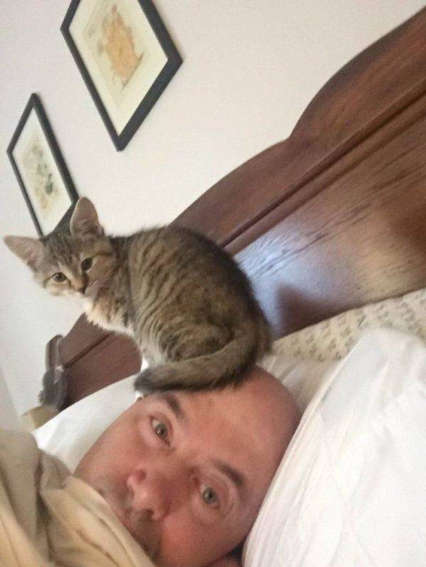 Animals Just Can’t Stop Being Funny