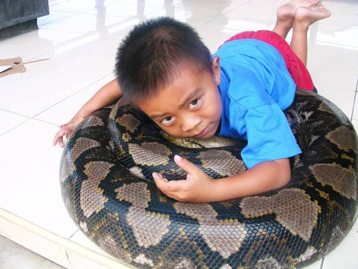 daily picdump 94 pics 39.html - 94 HD Photos | Premium Gallery 2019