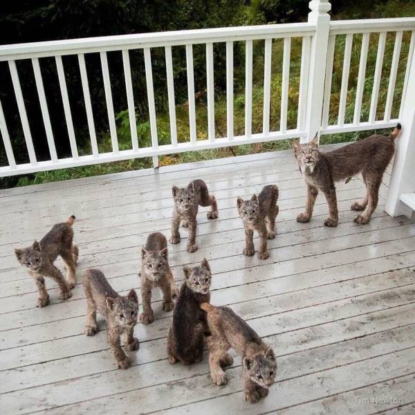 daily picdump 94 pics 39.html - 94 HD Photos | Premium Gallery 2019