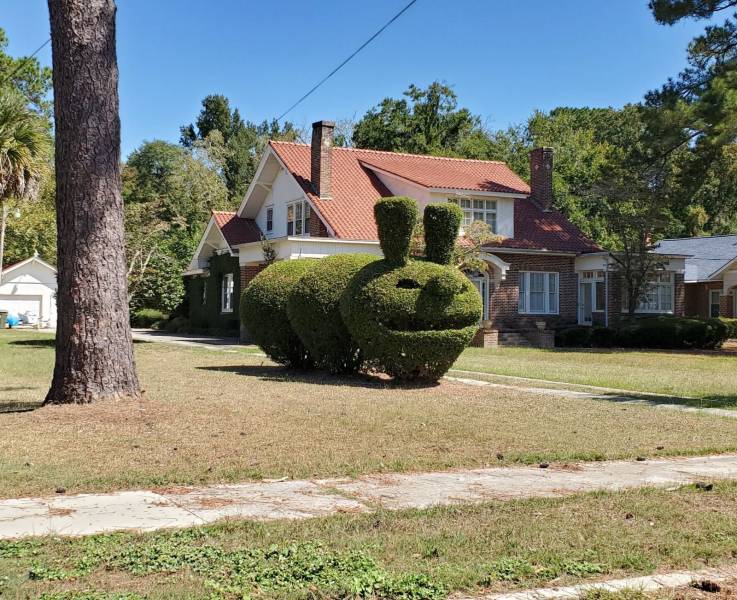 daily picdump 94 pics 39.html - 94 HD Photos | Premium Gallery 2019