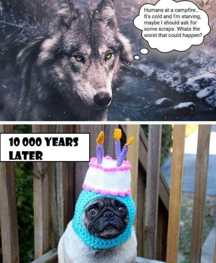daily picdump 94 pics 39.html - 94 HD Photos | Premium Gallery 2019