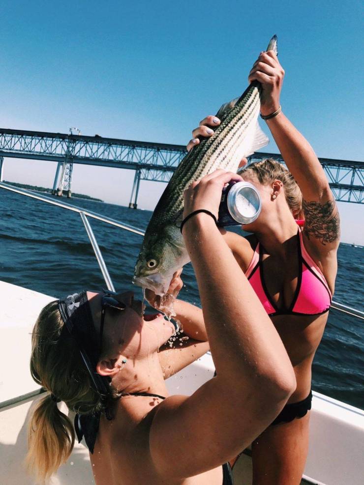 daily picdump 94 pics 39.html - 94 HD Photos | Premium Gallery 2019