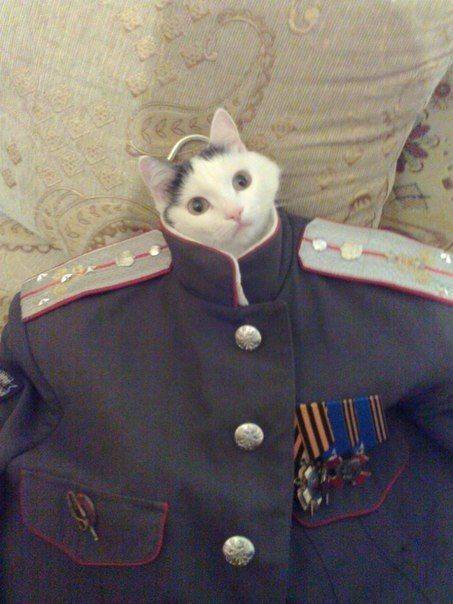 daily picdump 94 pics 39.html - 94 HD Photos | Premium Gallery 2019