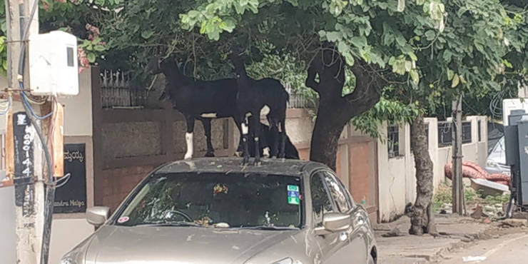 morning picdump 49 pics 14.html - 49 HD Photos | Premium Gallery 2019