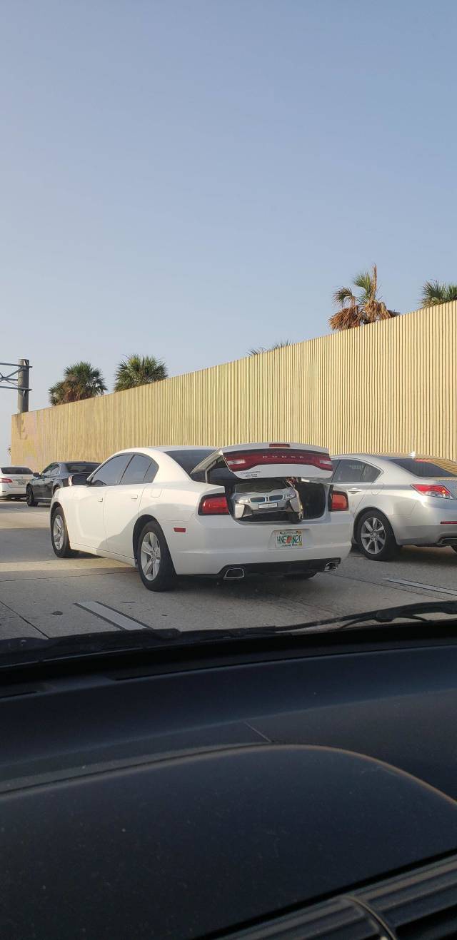 morning picdump 49 pics 14.html - 49 HD Photos | Premium Gallery 2019