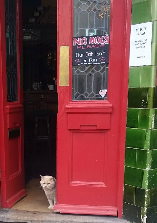 morning picdump 49 pics 14.html - 49 HD Photos | Premium Gallery 2019