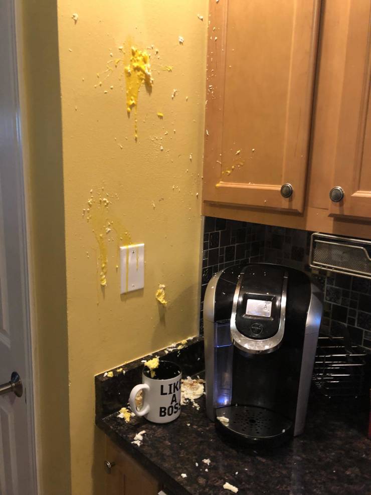 morning picdump 49 pics 14.html - 49 HD Photos | Premium Gallery 2019