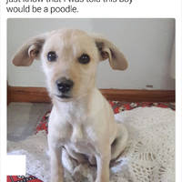 intense conflict video.html - 1 HD Video | Premium Gallery 2020