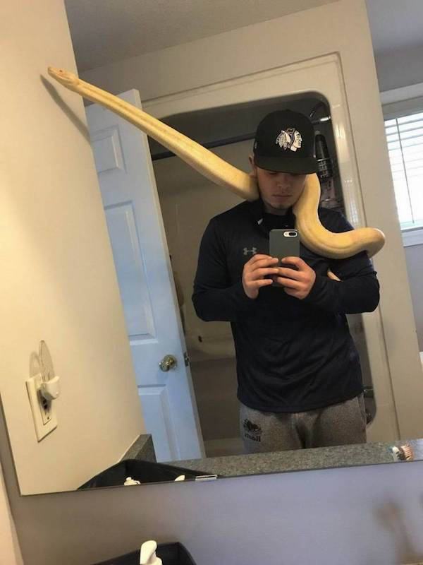 Looks Like A Big Fat Nope